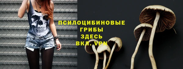 эйфоретик Армянск