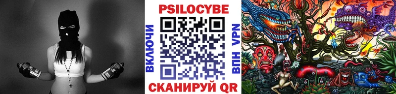 Галлюциногенные грибы Psilocybine cubensis  Уссурийск 