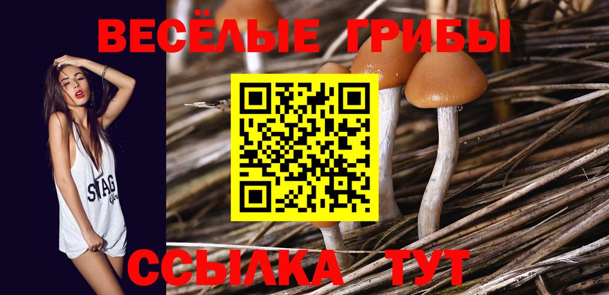 Уссурийск  Галлюциногенные грибы Cubensis  Псилоцибиновые грибы MAGIC MUSHROOMS  Вход с VPN 