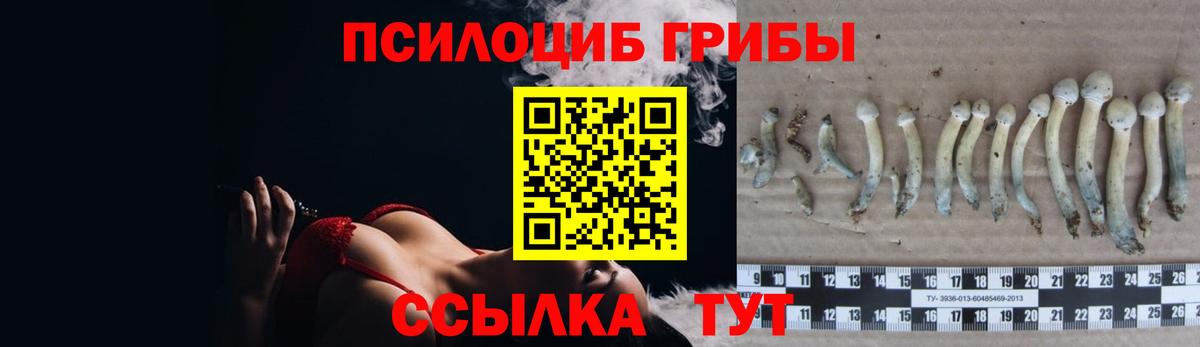 Псилоцибиновые грибы ЛСД Уссурийск